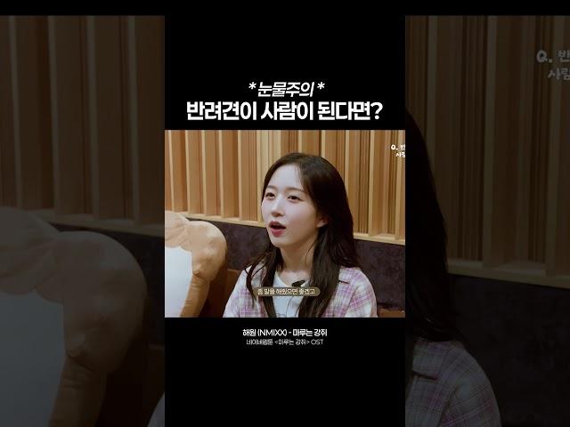 반려견이 사람이 된다면? #Maru_is_a_Puppy #NMIXX #HAEWON