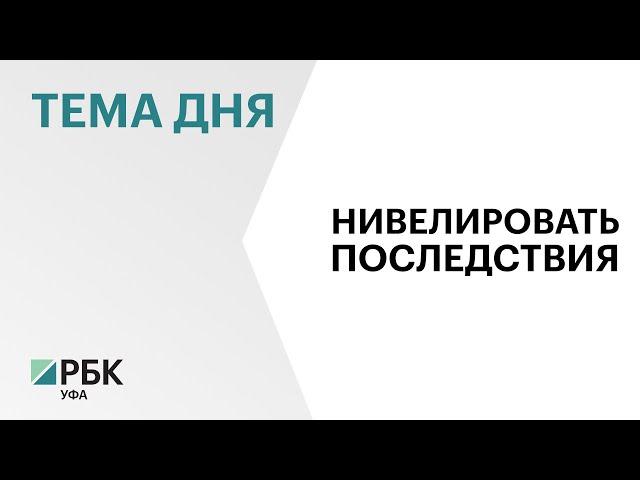 Поголовье крупного рогатого скота в РБ сократилось на 1,8%, - до 411 тыс.