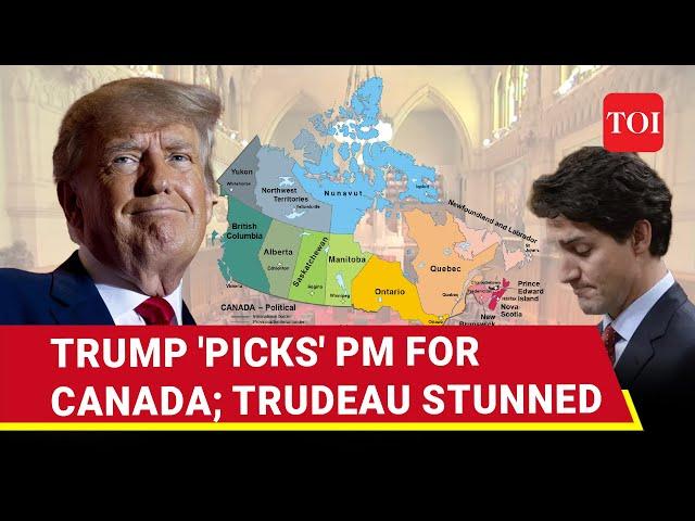 Trump Names His Own Canada PM As Trudeau Battle Turmoil; Who Is U.S. Leader's Pick Gretzky Explained