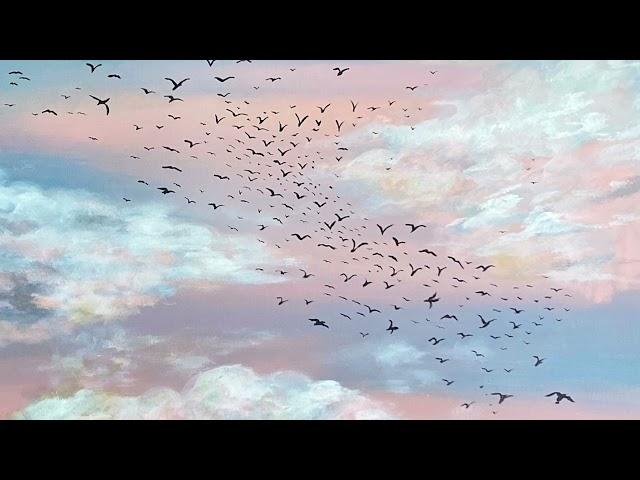 Mattia Lucchesi - Aria
