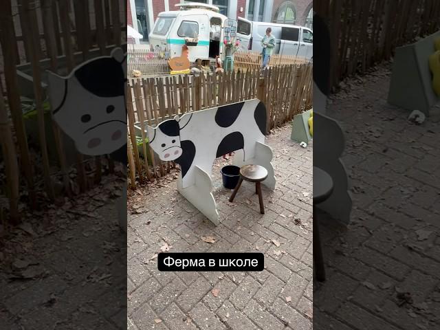 Школа в Бельгии. Бельгийское дошкольное образование. Ферма в школе.