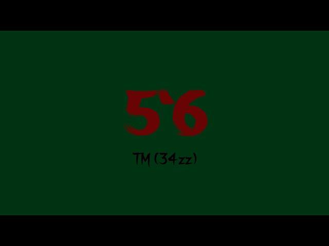 #34zz TM - 5’6 (Official Audio)