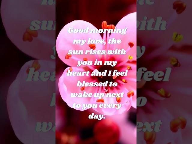 Good morning message | Good morning my love | Sweet love text messages | Love quotes | Love message