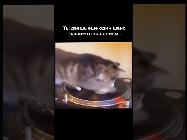 Психолог Анастасия Моисеева