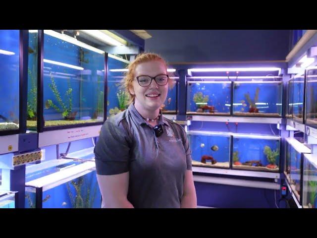 This Place has EVERYTHING! Auburn Aquarium Fish Store Tour