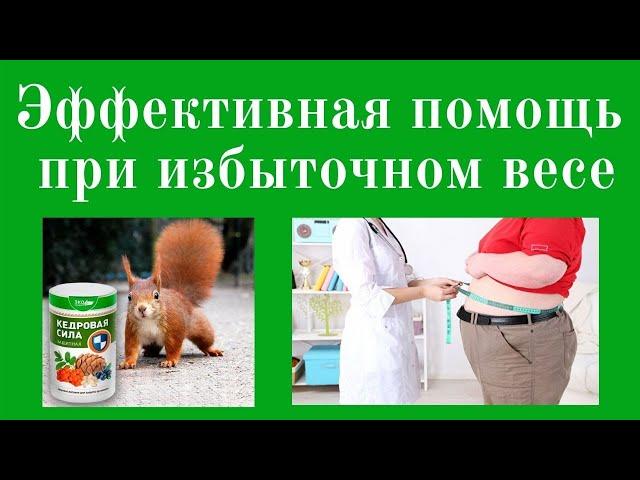 Как предупредить ожирение. Лекция врача о значении рационального и диетического питания при ожирении