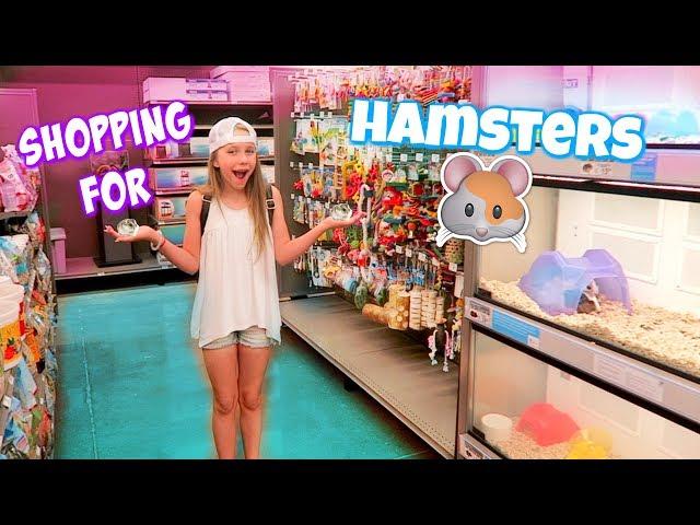 Getting 3 Hamsters! Shopping at Petco and PetSmart for Hamster Gear!