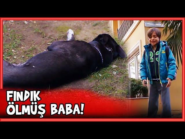 Rengin, Fındık'ı ZEHİRLEDİ! - Küçük Ağa 34. Bölüm