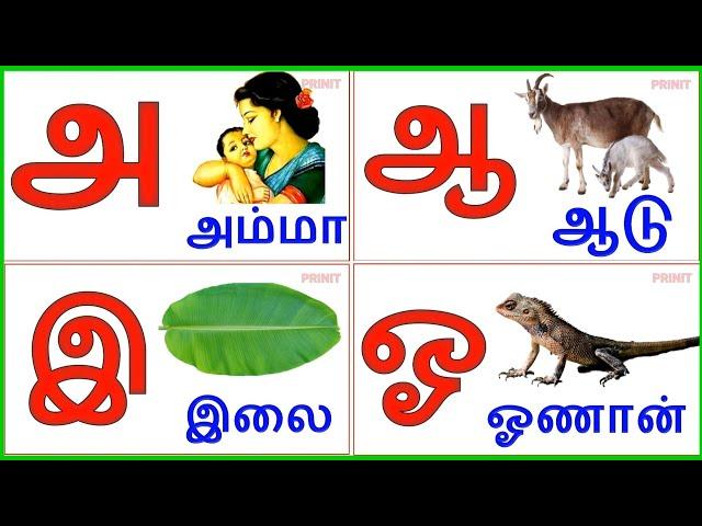 Uyir Ezhuthukal | Learn Tamil Alphabets/  உயிர் எழுத்துக்கள்/prinit