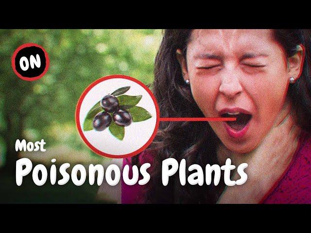 The Top 7 Most Poisonous Plants