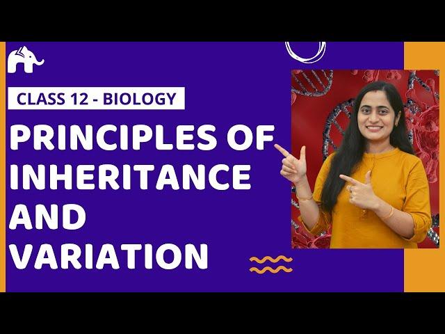 Principles of Inheritance and Variation Class 12 Biology| Genetics One Shot |NCERT CBSE NEET