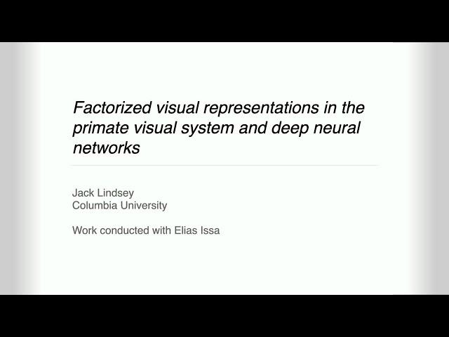 DOE CSGF 2023: Factorized Visual Representations in the Primate Visual System and Deep Neural Net...