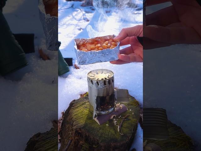 Survival idea: DIY Stove for extreme conditions #survival #camping #bushcraft