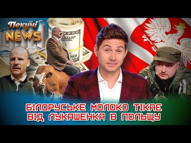Білоруське молоко тікає від Лукашенка в Польщу. Пекучі News