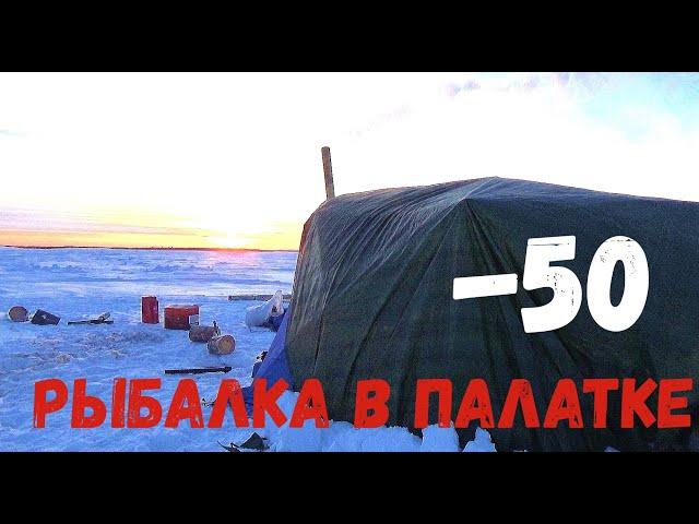 ВСЯ РЫБА ТУТ НЕ ВЫХОДЯ ИЗ ПАЛАТКИ!!! ГЛУХОЗИМЬЕ? Рыбалка в палатке в -50