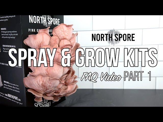 North Spore Spray & Grow Mushroom Kits | Setting-up and Maintaining Your Kit | FAQ Part 1