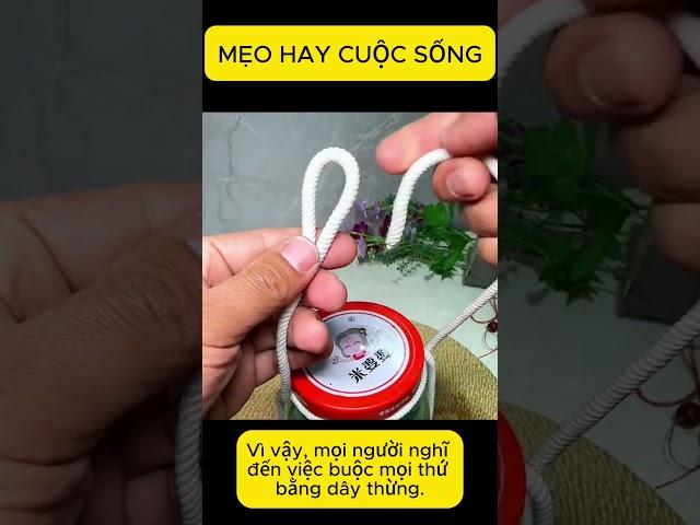Mẹo Hay Cuộc Sống #540 | Panda Origami & LifeTips