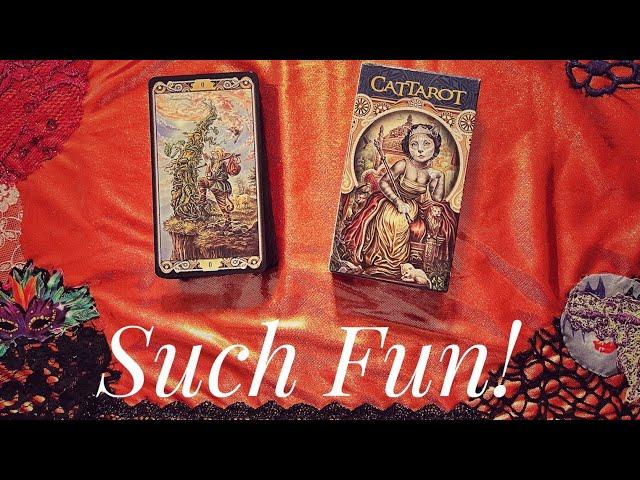 Cat Tarot by Lo Scarabeo. So Much Fun!!