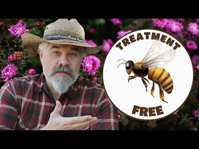 It's Time For Treatment Free Beekeeping