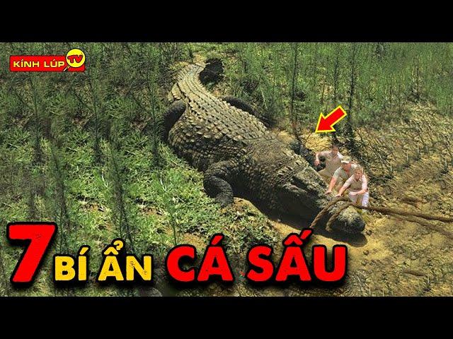  7 Bí Ẩn Ly Kỳ Và Thú Vị về Cá Sấu Mà Chưa Có Ai Nói Cho Bạn Biết | Kính Lúp TV