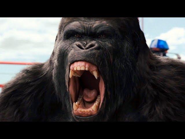 Gorilla vs Helicopter Scene - Bridge Battle - Rise of the Planet of the Apes (2011) Movie Clip HD