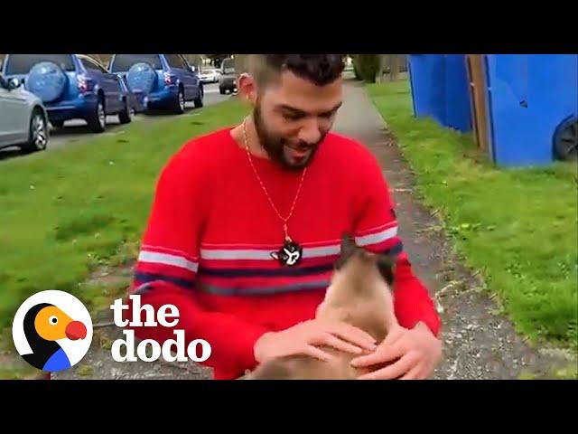 Guy Has Met 150 Cats Walking Through His Neighborhood | The Dodo Cat Crazy