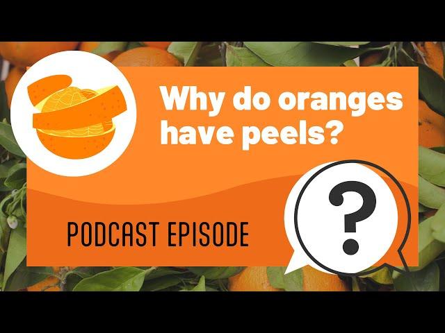 But Why Kids | Why do oranges have peels? | Full Podcast Episode