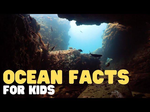 Ocean Facts for Kids | Learn interesting facts about the world's largest pool!