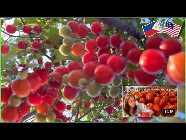 PINAY LIFE IN USA/BACKYARD GARDEN #wife #life #2022 #usa #