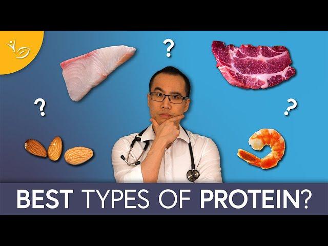 Best Proteins and Fats for Losing Belly Fat