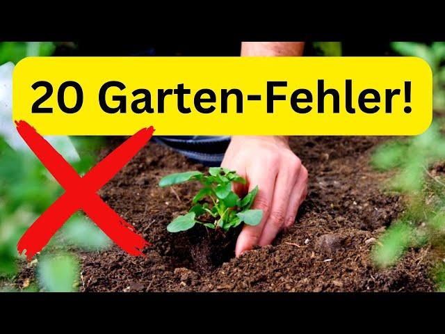 20 typical gardening mistakes & how to avoid them