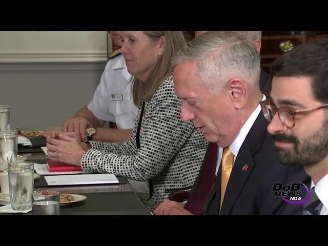 Mattis Meets With Romanian Defense Minister