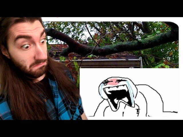 So... My House Became A TREEHOUSE (Channel Update)