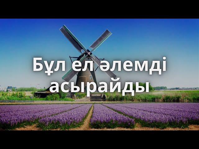 Бұл кішкентай ел, бүкіл әлемді асырайды!