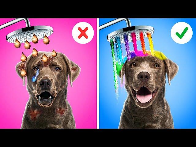 Rich vs Poor CHALLENGE  Rescue This Cute Dog With Cool DIYs, Hacks & Pet Gadgets by 123GO! Zoo