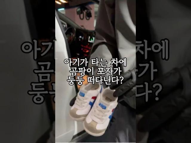 곰팡이 포자는 각종 피부•호흡기•알레르기•천식 질환을 유발 합니다#에바크리닝 #에바클리닝 #자동차에어컨청소 #자동차공조기청소