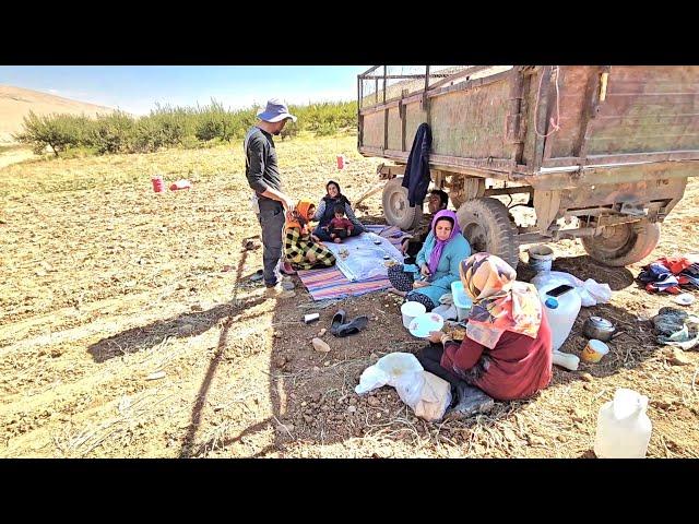 Iranian mothers work in the fields to help the family, earthy and unassuming mothers