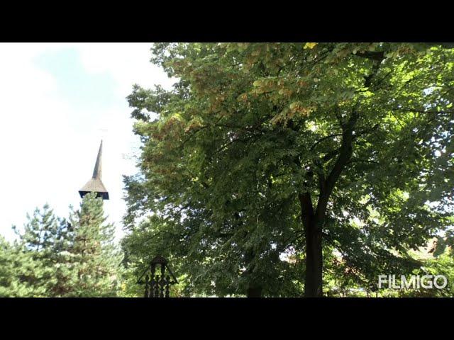 Capela Facultății de Teologie Ortodoxă din Arad  Chapel of the Faculty of Orthodox Theology in Arad