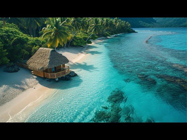 Tropical Beach Music with Beautiful Ocean Beach Views | Happy and Uplifting