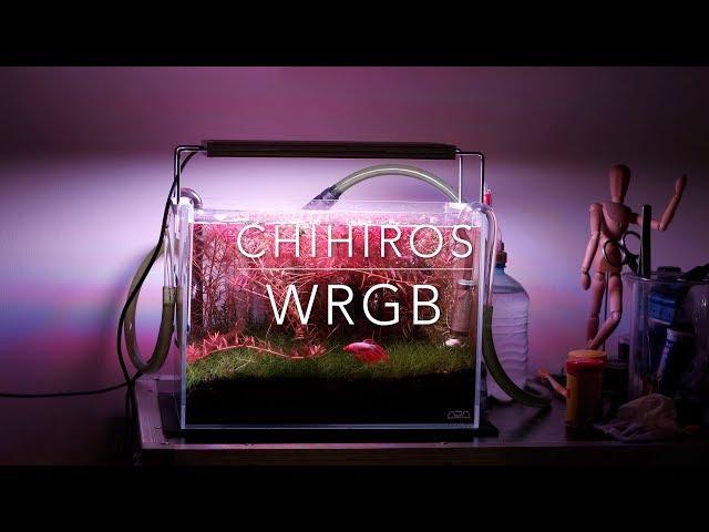 Chihiros WRGB LED