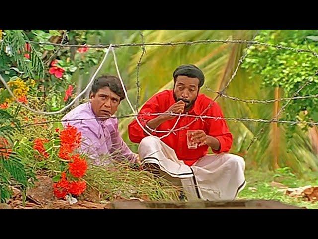 "നീ  ആഞ്ഞ് വലി.."| Jayasurya Malayalam Movie | Malayalam Comedy Scene | Kerala House Udan Vilpanakku