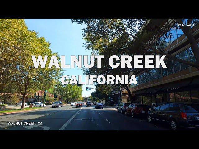 Walnut Creek, CA - Driving Downtown 4K