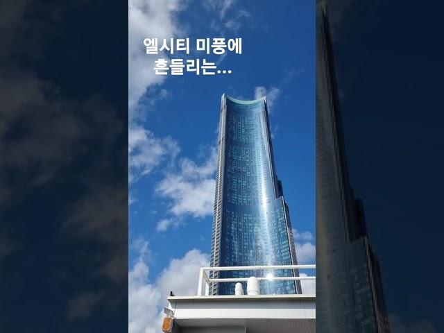 엘시티 미풍에 흔들리는...