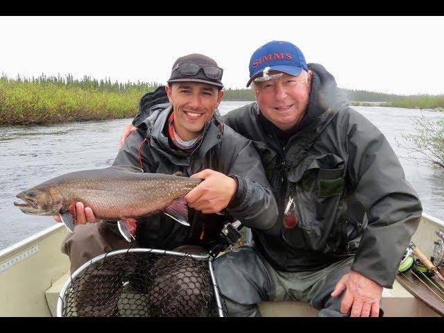 Labrador Brook Trout Sipping Mayflies