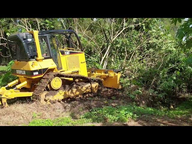 Caterpillar D5N dozer clearing some weeds