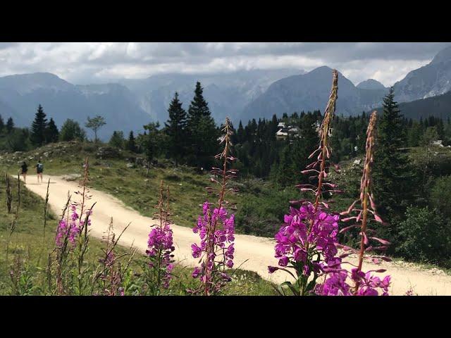 VELIKA PLANINA,THE FAMOUS MOUNTAIN IN SLOVENIA,EUROPE ,MY FIRST TIME VISIT PART 1