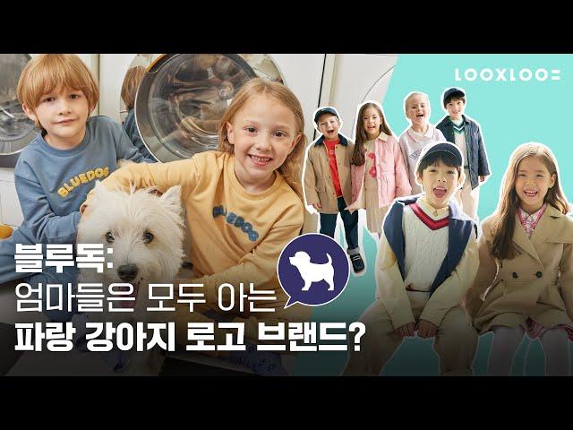 [블루독] 엄마들은 모두 아는 파랑 강아지 브랜드?