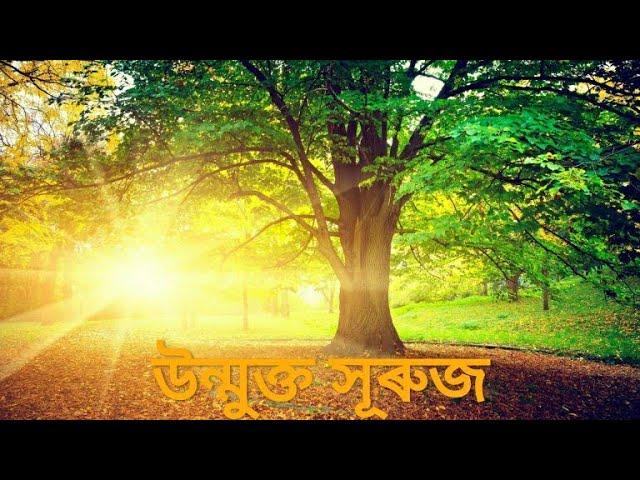 Unmukta Xuruj || Rituparna Rabha || Manash Pratim , Mamoni Kalita , Manoj Rabha || New Assamese Edm