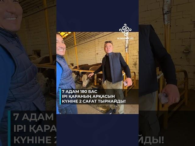 Жапонның соңғы технологиялары жолда қалады. Мына видео интернетті жарайын деп тұркүлкіден өлдік 