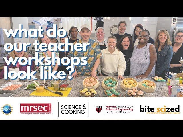 Teaching Science through Food and Cooking: What does a teacher workshop look like?